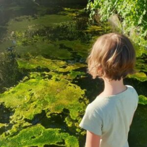 Profile photo of Miriam Nieva y David Monge