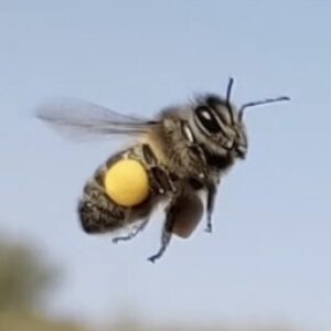 Profile photo of Isabel y Eva Monge Alonso